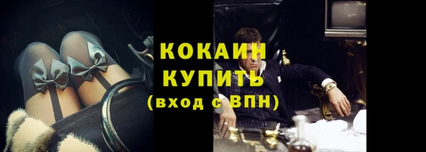 прущие грибы Покровск