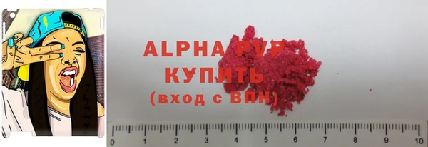 прущие грибы Покровск