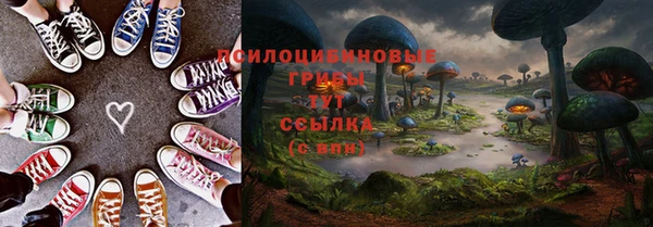 прущие грибы Покровск