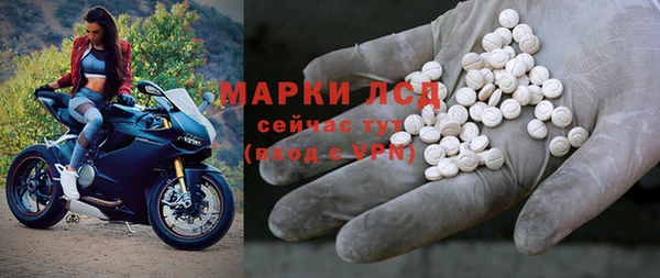 прущие грибы Покровск