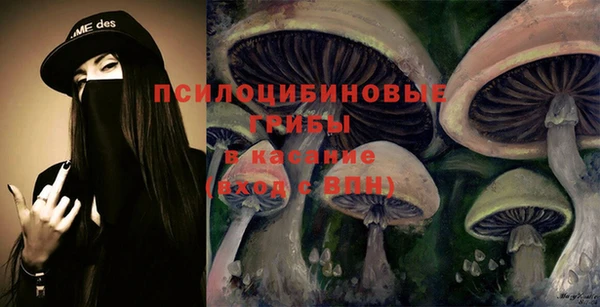 прущие грибы Покровск