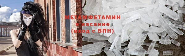 прущие грибы Покровск