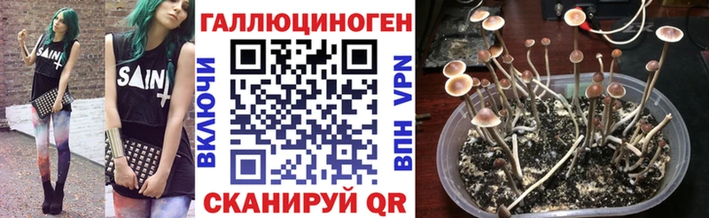 Галлюциногенные грибы MAGIC MUSHROOMS  omg ТОР  Черепаново 